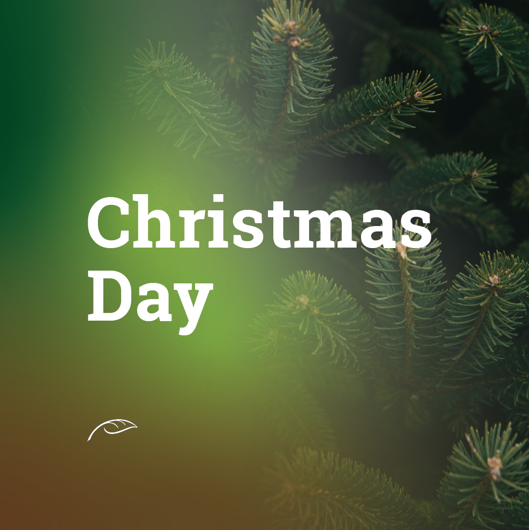 Christmas Day holiday graphic featuring white “Christmas Day” text on a dark green background with evergreen pine branches.
