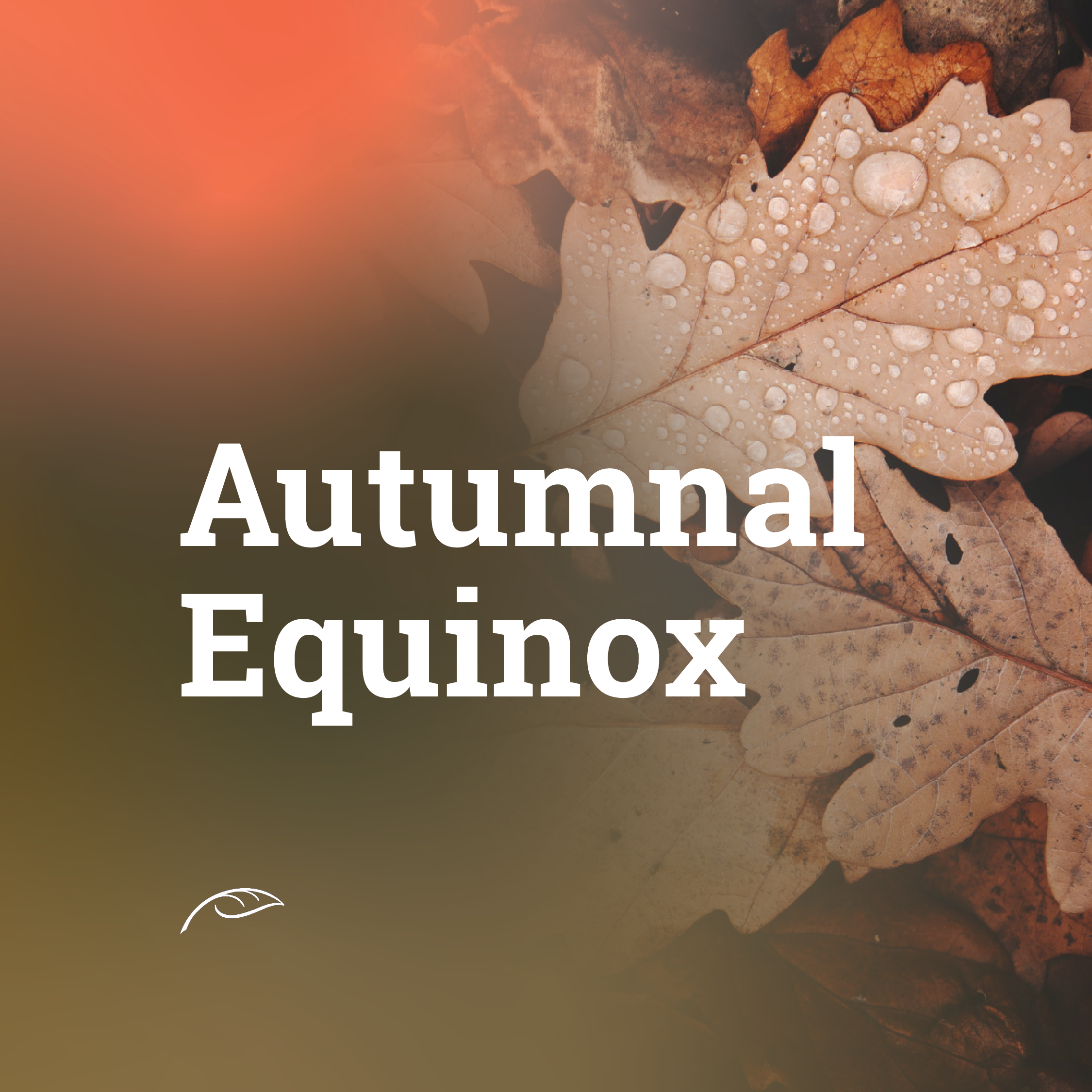 Graphic promoting the Autumnal Equinox. White text reading “Autumnal Equinox” appears over a background of brown and orange autumn leaves, including a large leaf covered in water droplets. A soft orange-to-gold gradient overlay fills the left side of the image, with a small leaf icon near the bottom left.